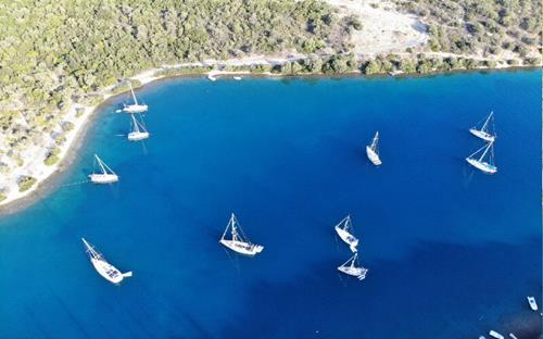 Giannis-800x500-DJI_0172(1)